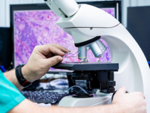 histopathology